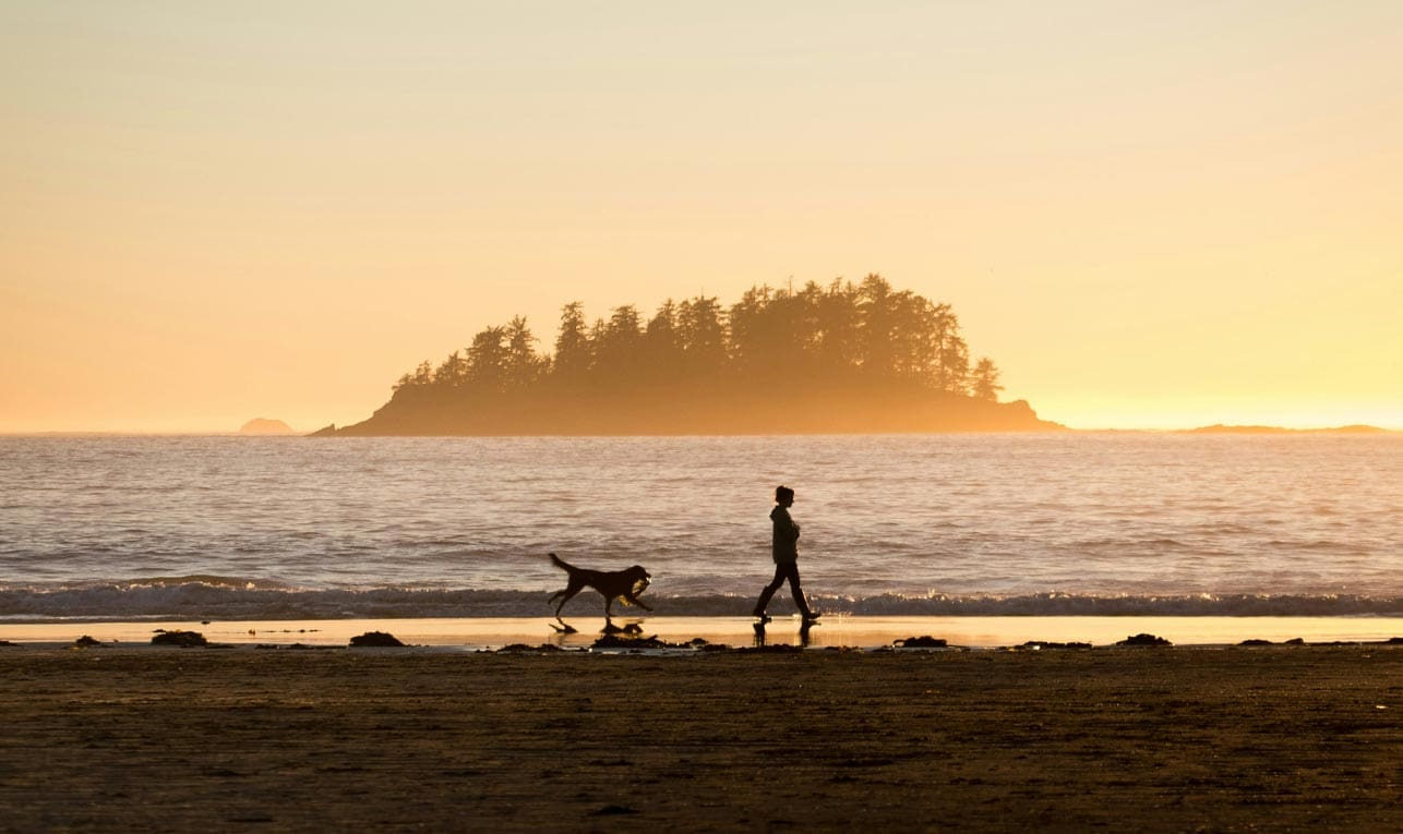 spencer-watson-unsplash_woman walking dog beach sunset