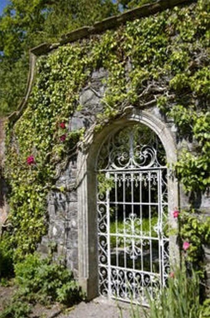 garden gate surrounded by green vines